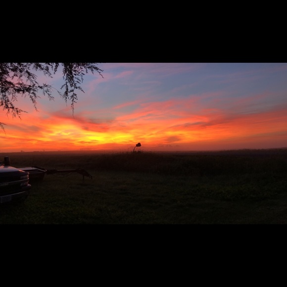 Meet your Posher, Shyann - Picture 1 of 1